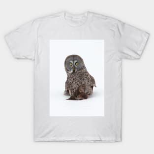 Great Grey Owl T-Shirt